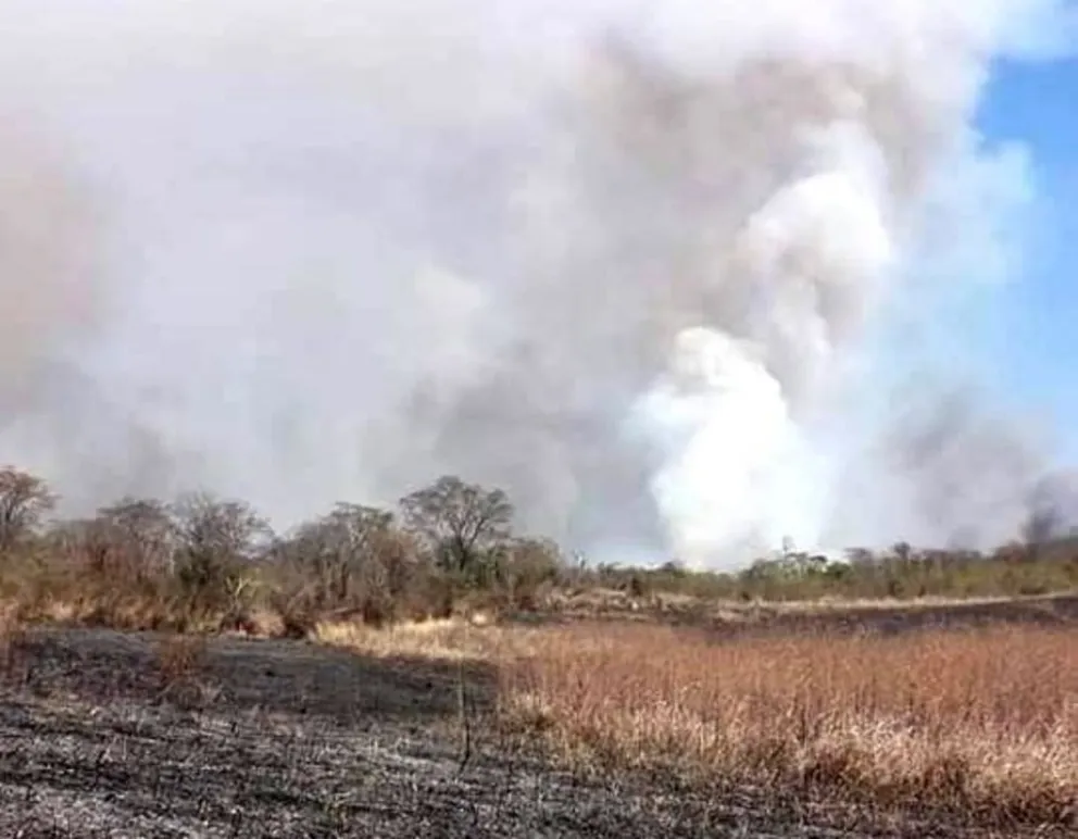 Bomberos no dan abasto: Colonia Santa Rosa está siendo consumida por el fuego