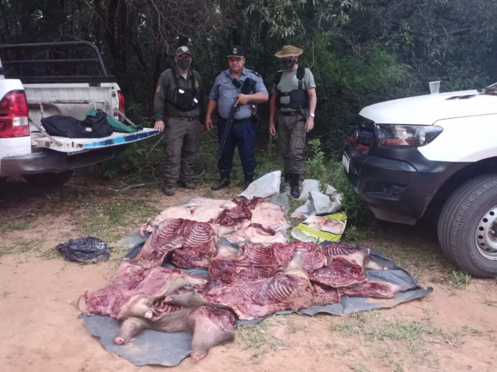 Villa Olivari: decomisan casi 800 kilos de carne de carpincho