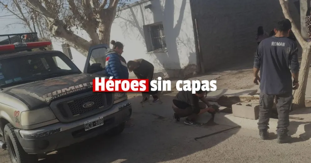 Pocito: una mujer bombero le salvó la vida a una perra y a sus cinco cachorros    