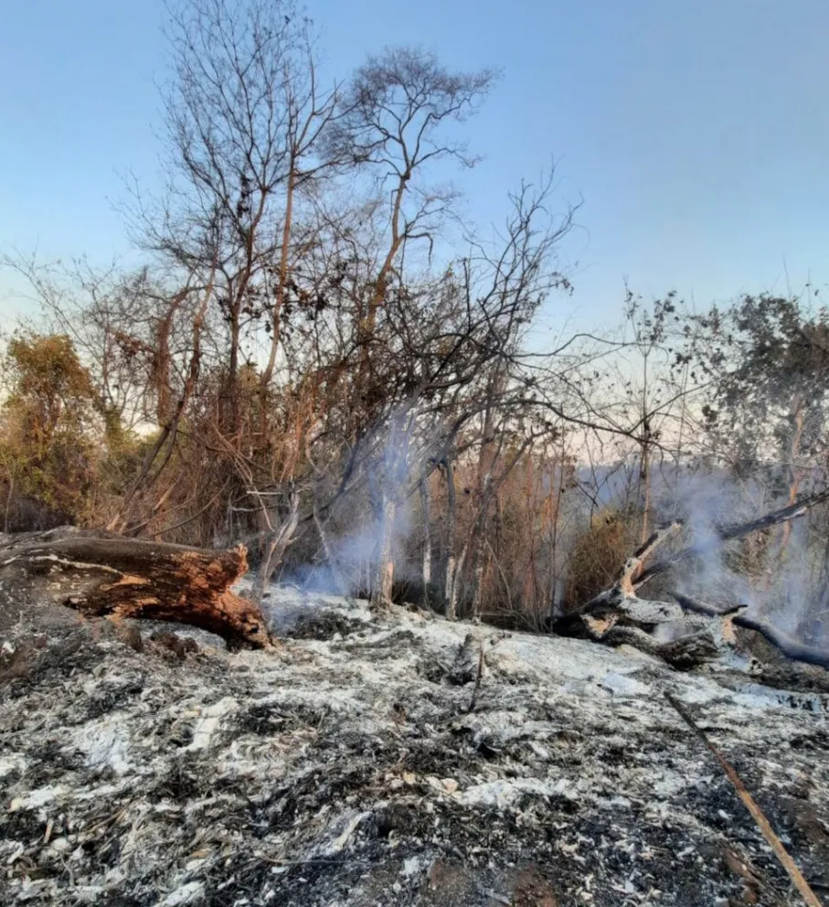El fuego no deja de avanzar: miles de hectáreas ya se han perdido en Colonia Santa Rosa