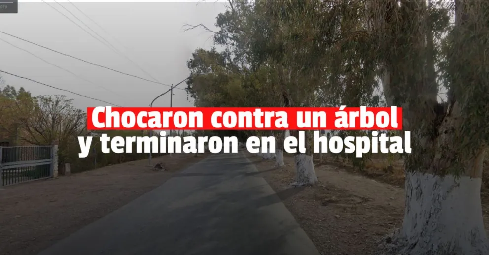 Una familia terminó hospitalizada luego de chocar contra un árbol