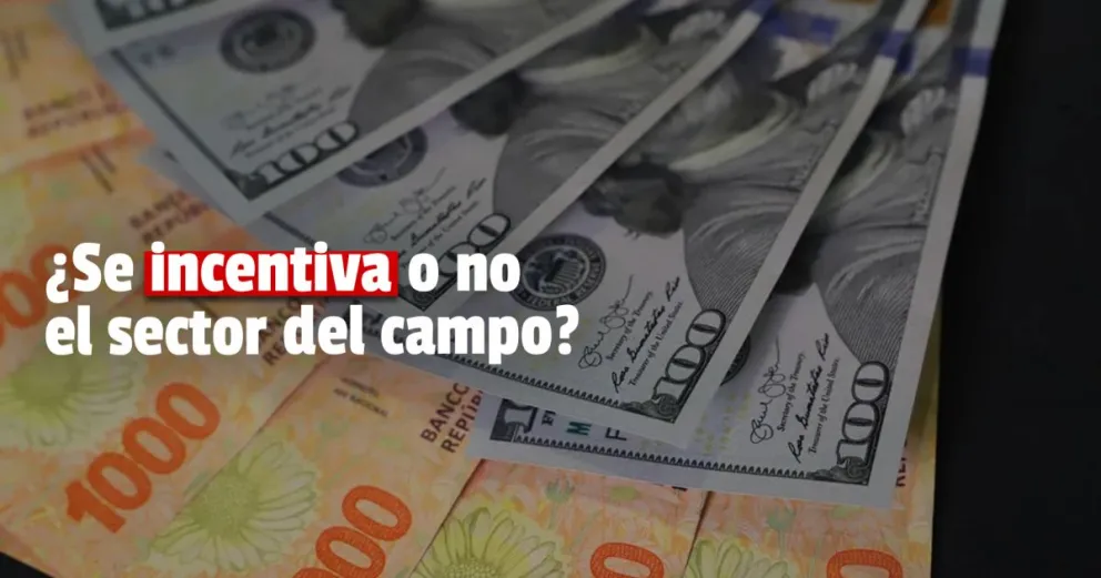 El sector campo quiere que mejore el valor del dólar para vender sus granos