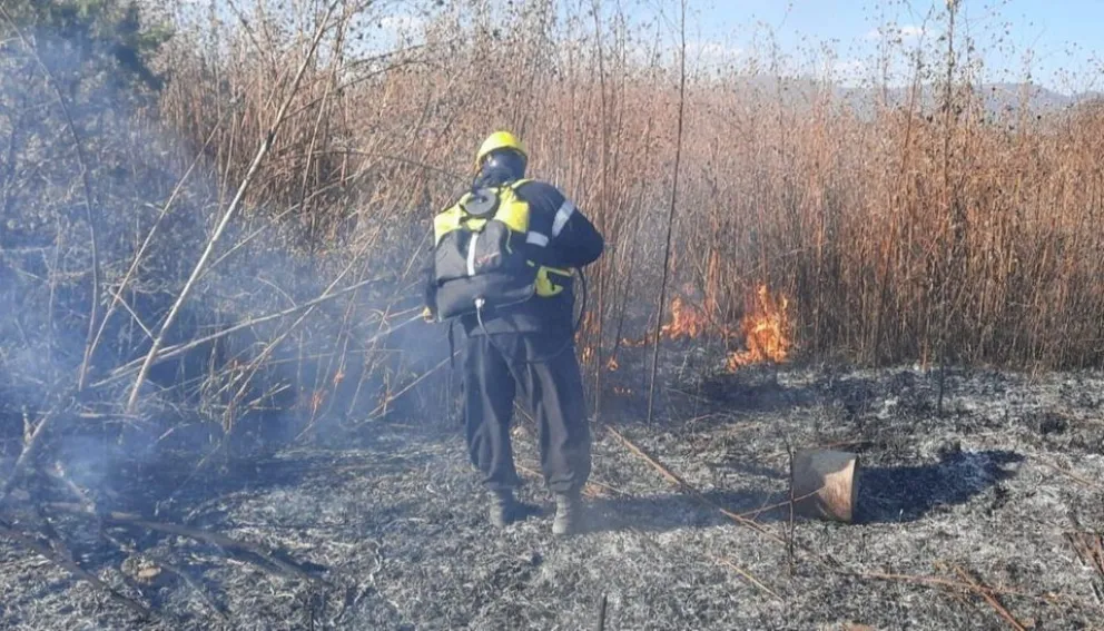 ¡No lo pueden controlar! Incendio de pastizales en Avenida del Carnaval