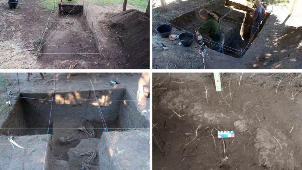 Hallaron el primer enterramiento de una mujer mapuche en una canoa, con 900 años de antigüedad