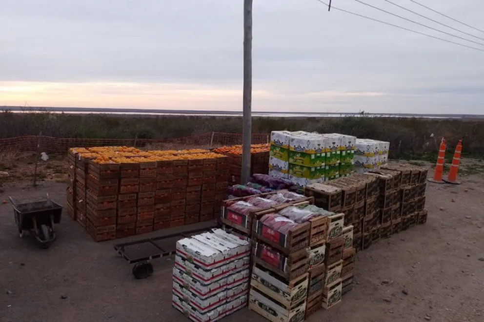 Querían ingresar a Roca con 6.200 kilogramos de mercadería infectada con Mosca de los Frutos