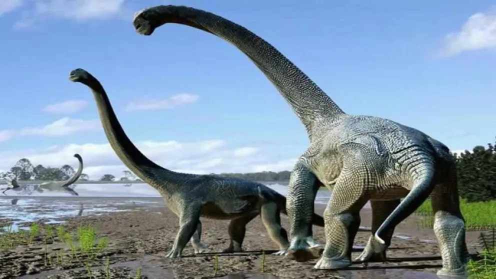 Sorpresa: encontró el esqueleto de un dinosaurio de 25 metros de altura en el patio de su casa