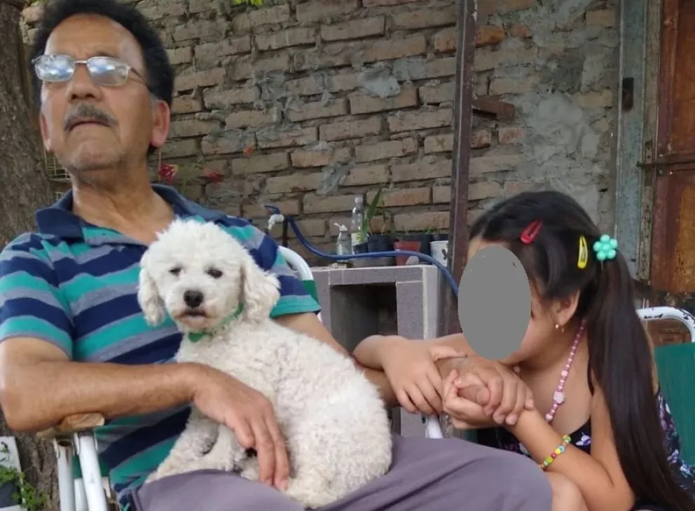 Desesperada búsqueda de un caniche que pertenece a un hombre con Parkinson: “Mi marido se descompuso, no quiere comer”