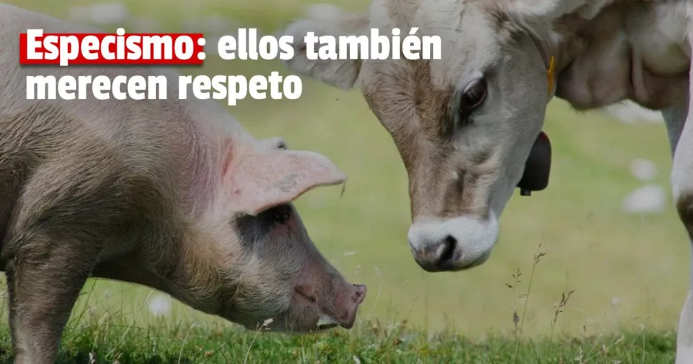 Día Mundial por el fin del Especismo: ¿de qué se trata?