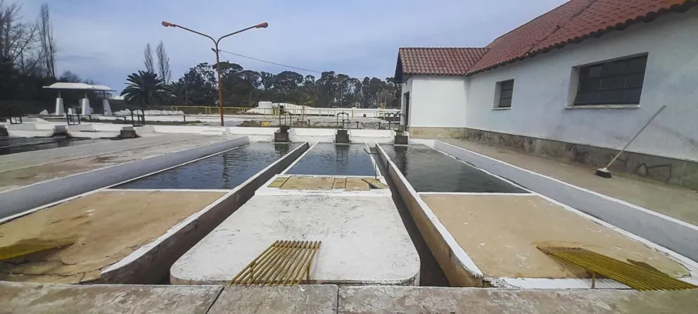 Corte de agua en Viedma: qué dice la empresa al respecto