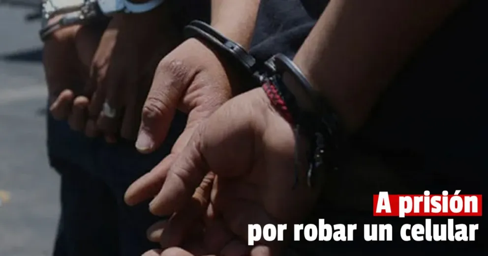 Dos ladrones se robaron un celular y ahora irán presos