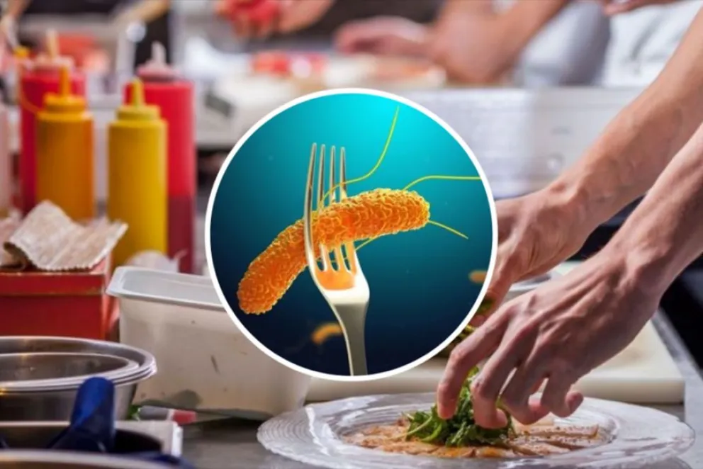 Salmonella en Salta: fuerte aumento de casos en la provincia, hay preocupación por parte de las autoridades