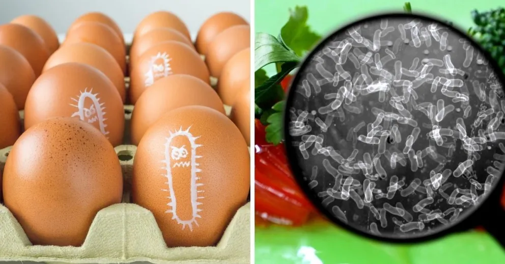 Otro virus que preocupa: Doctor explica las causas y formas en que se transmite la Salmonella