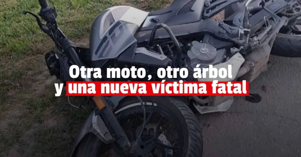 Un motociclista falleció tras chocar contra un árbol