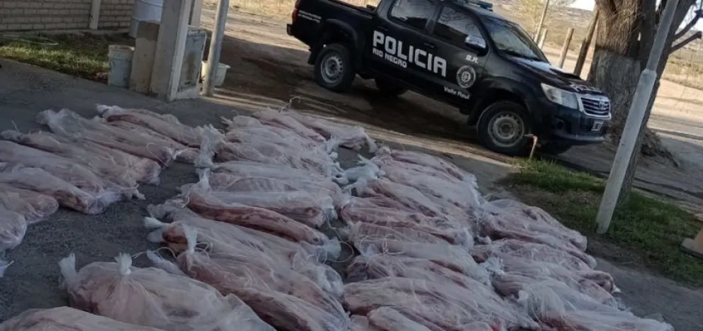 Otro importante decomiso: secuestran una tonelada de carne con hueso en la región