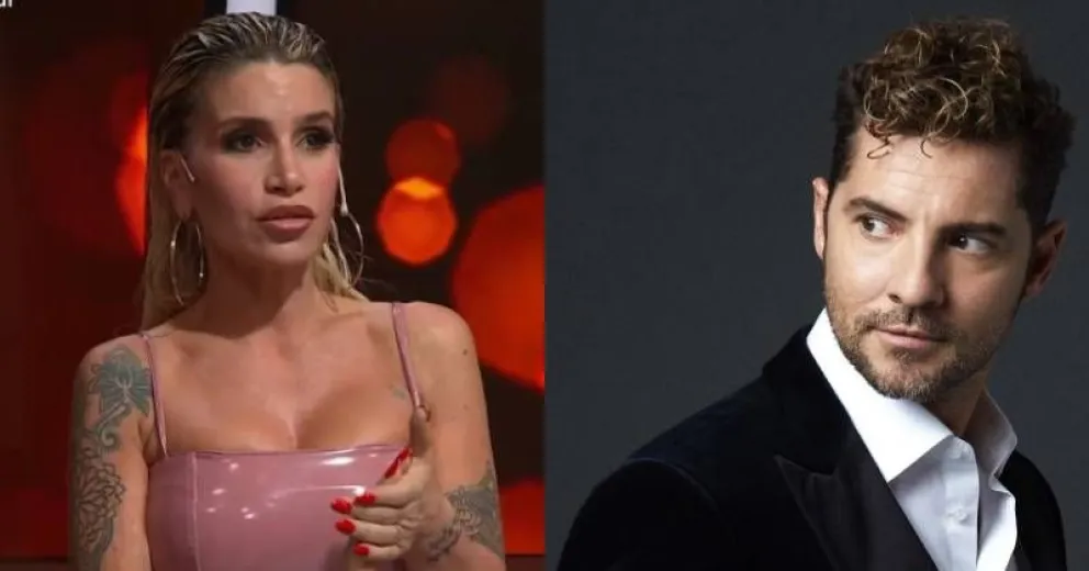 El insólito episodio entre Flor Peña y David Bisbal