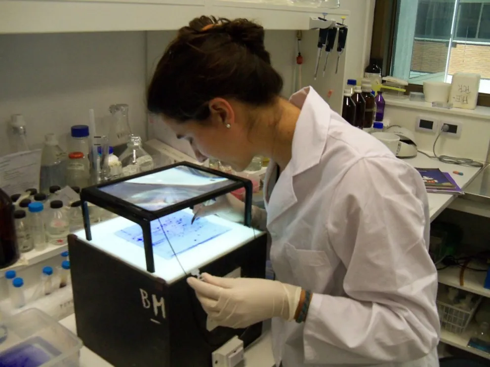 Una especialista viedmense en Biotecnología estudia los efectos de los contaminantes que afectan a los humanos