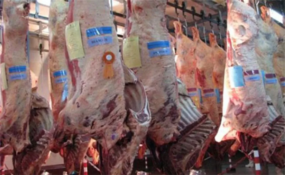 Las exportaciones de carne vacuna cerraron el primer semestre del año con récord en volumen y divisas