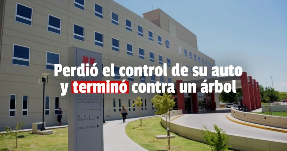 Siniestro: una joven perdió el control de su auto e impactó un árbol  