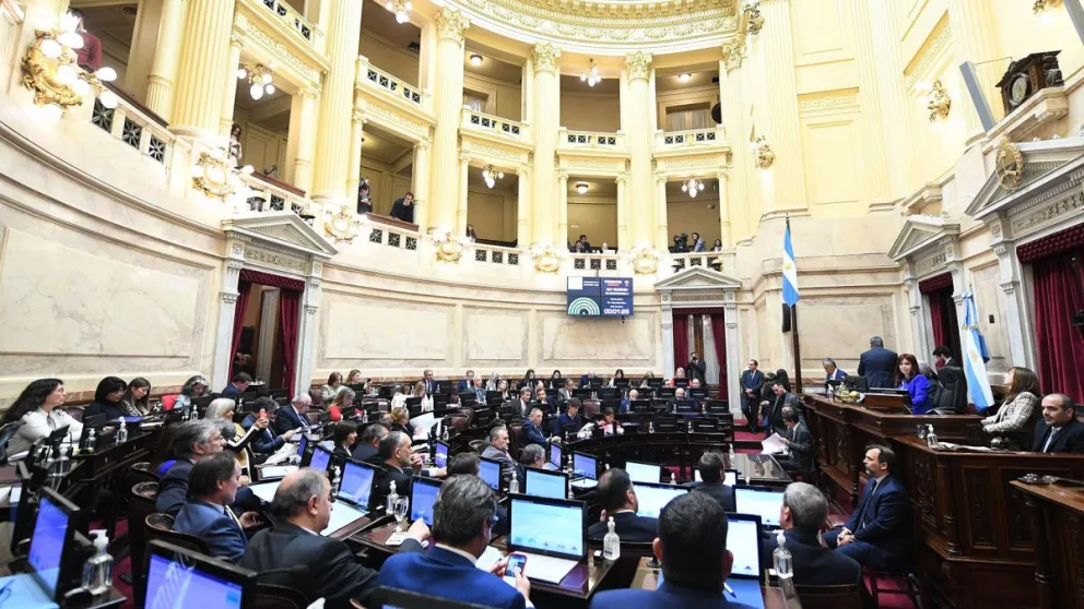 El Senado vuelve al ruedo tras el pedido de prisión a CFK: cuáles son los proyectos prioritarios a tratar