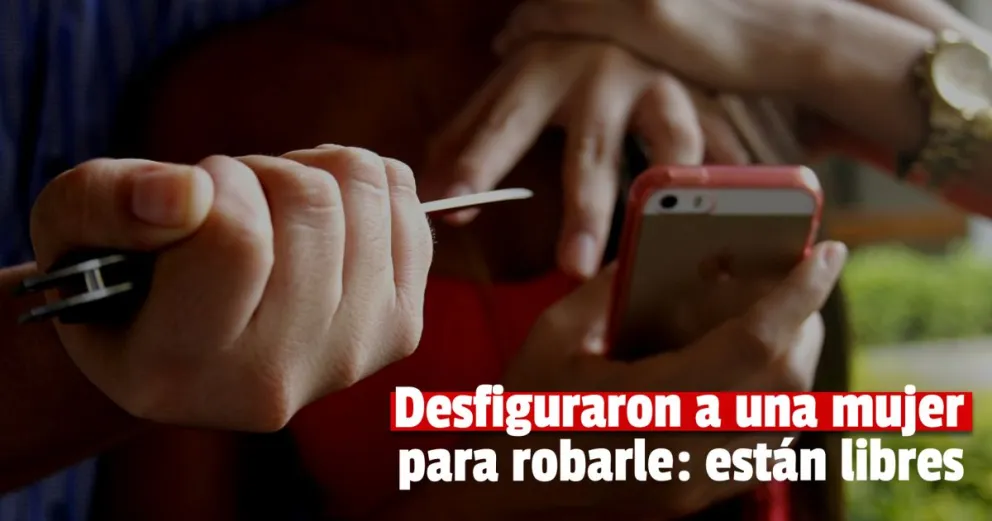 Condenaron a un ladrón que junto a un menor atacó a una mujer para robarle