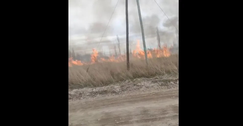 Casi se prende fuego un refugio de perros y piden ayuda para arreglar el portón 