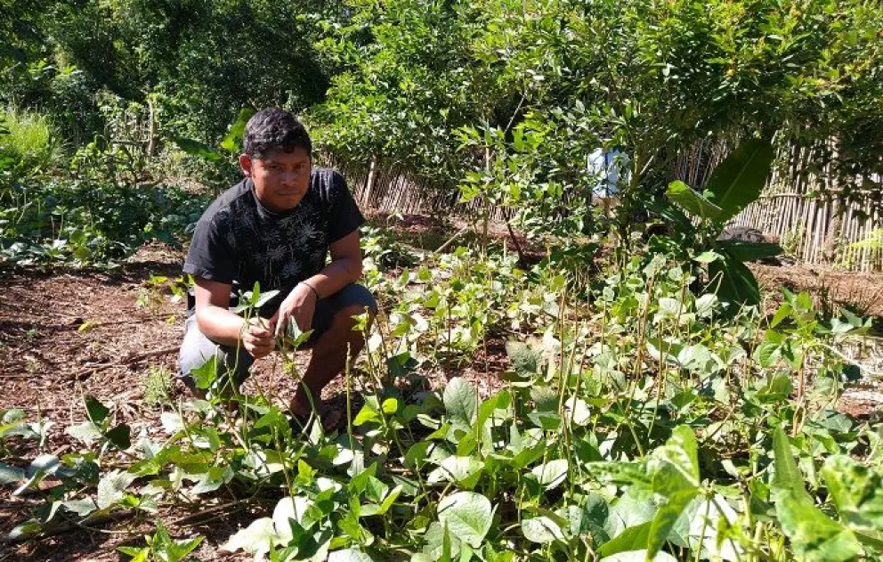 Capacitación en agrofloresta y venta de producción de la huerta en la comunidad Yryapú