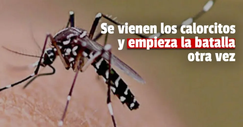 Dengue: San Juan lleva 26 meses sin nuevos casos