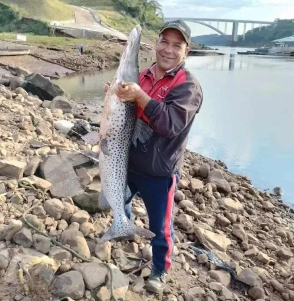 El suertudo del Paraná pescó un surubí de 33 kilógramos y casi 2 metros de largo 