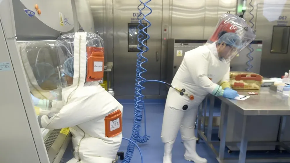 Otra vez Wuhan no: científicos chinos descubren un nuevo virus animal