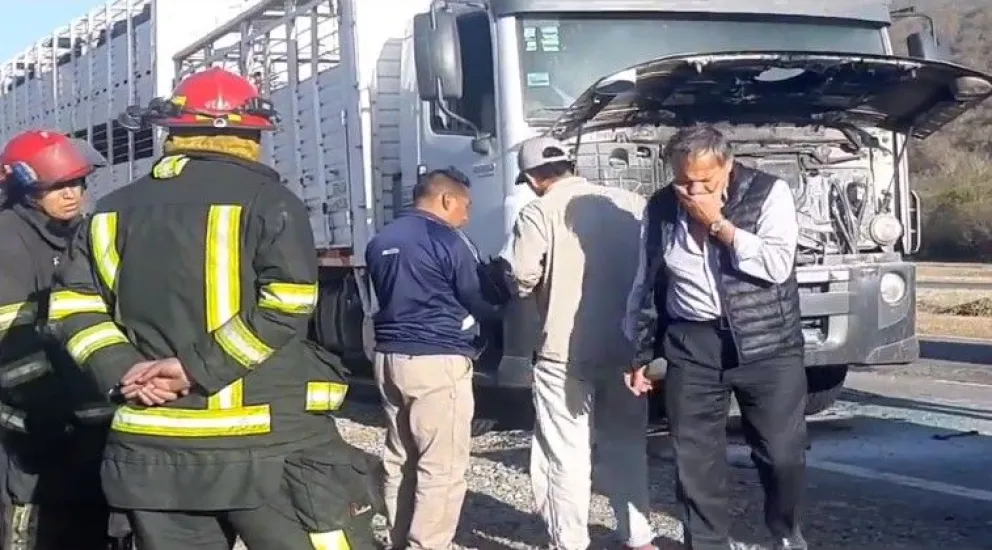 Impactante accidente: un camión se prendió fuego en la ruta