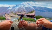 Salta será sede del Encuentro Nacional de Turismo del Vino