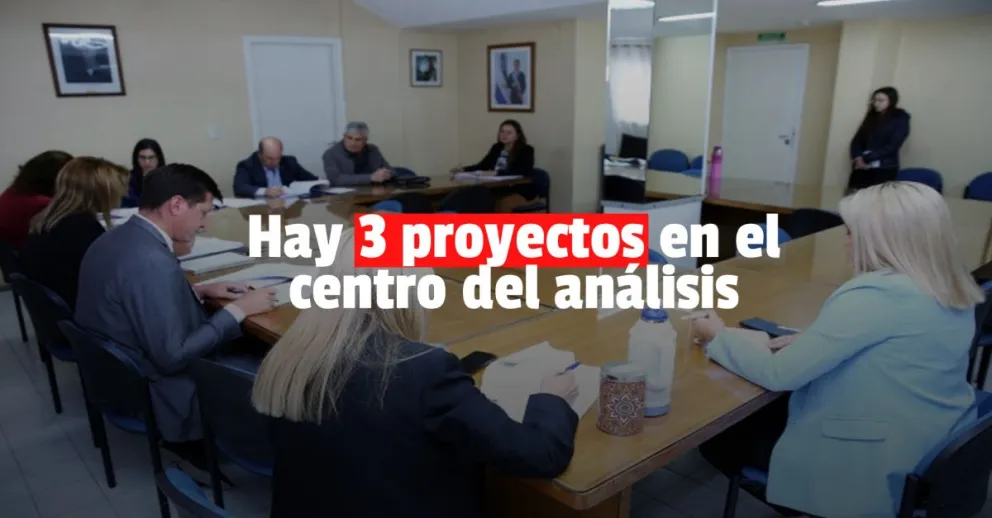 Los diputados estudian tres proyectos que proponen modificar el Código Electoral Provincial 