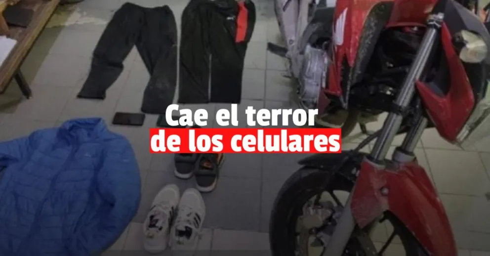 Secuestran en un allanamiento más de 20 celulares robados