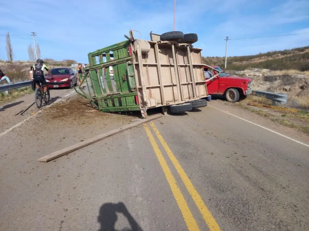 Volcó un carro-jaula, murió un equino, arruinó un auto y se produjo un embotellamiento en la ruta 23