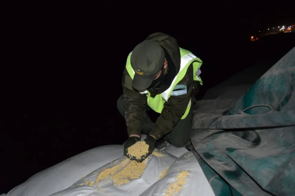 Otro caso de contrabando de granos en la provincia