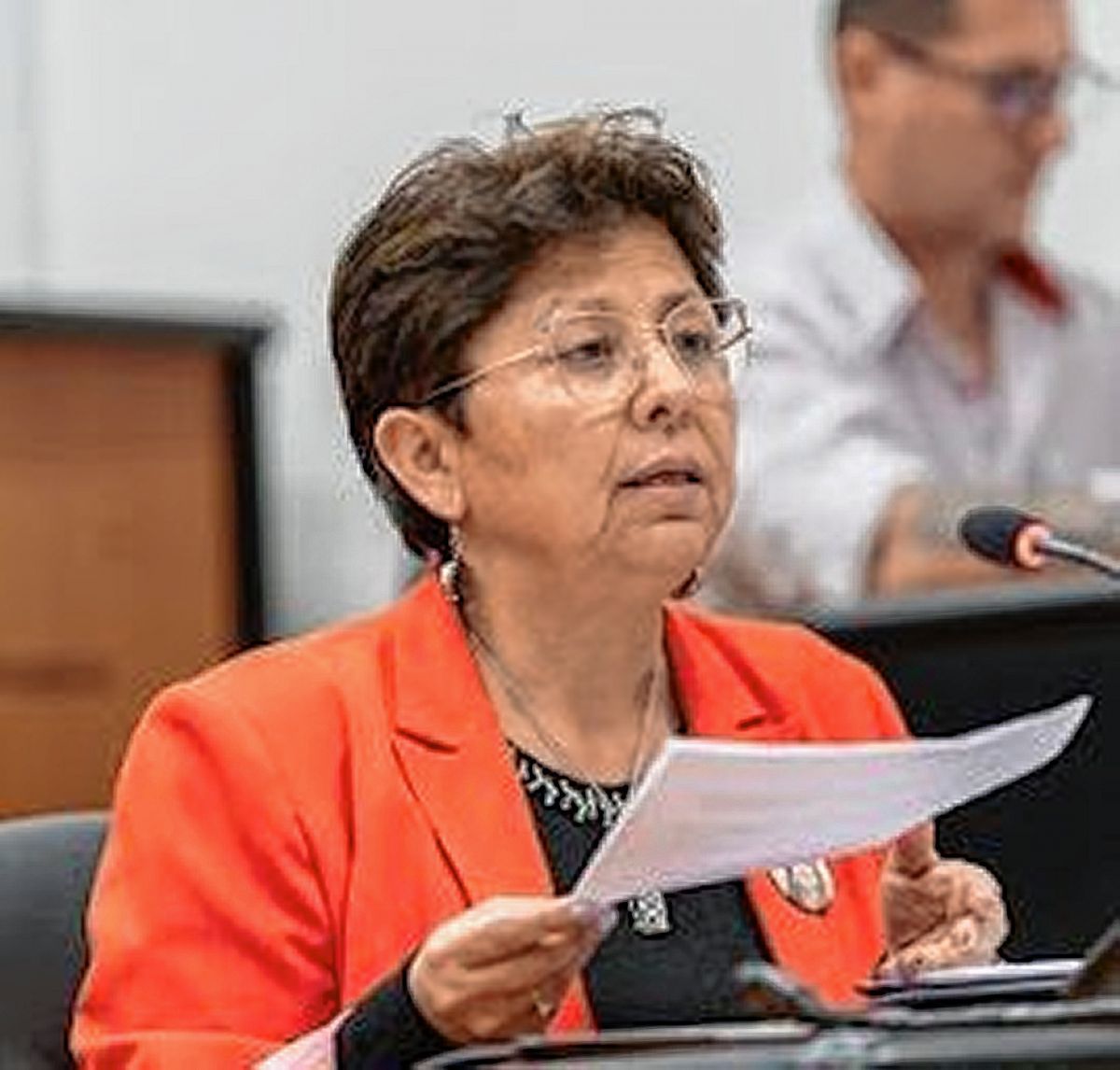 Navarro: “Me gustaría que el Sr. Van Domselaar venga y nos muestre los títulos de propiedad que dice tener”