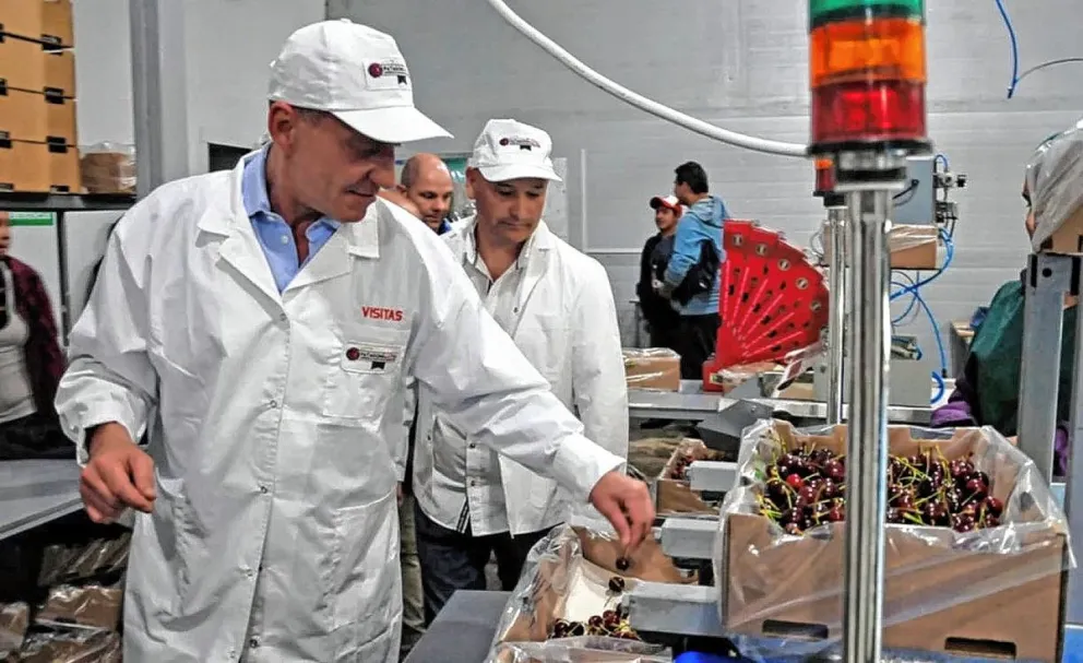 La industria cerecera de Chubut: más de dos millones de kilos de producción y exportación a Estados Unidos, China y Europa