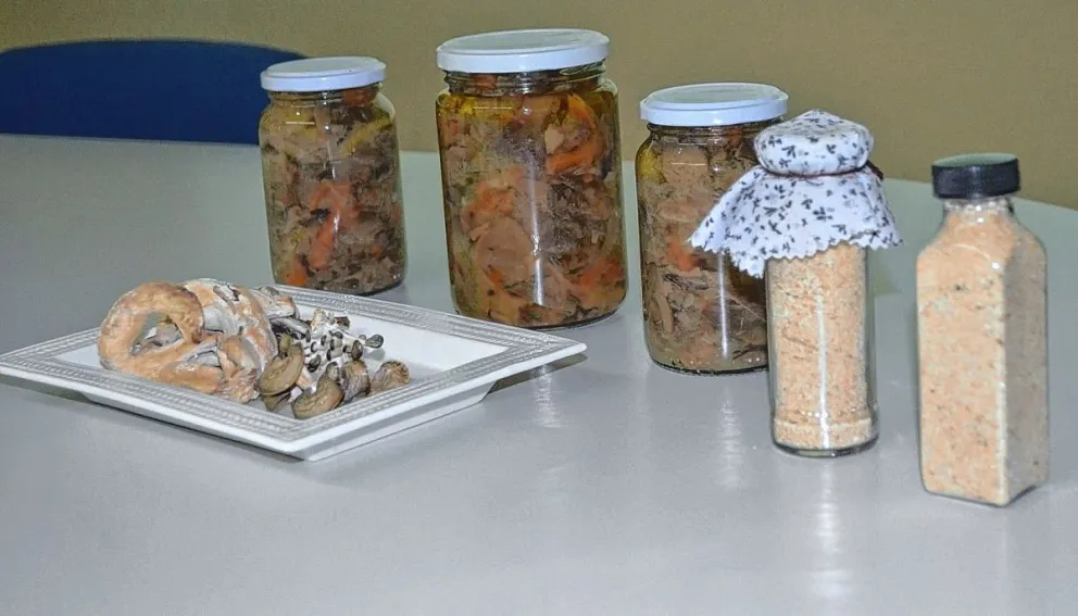 Producción de hongos en Comodoro: las gírgolas como una opción de negocio 
