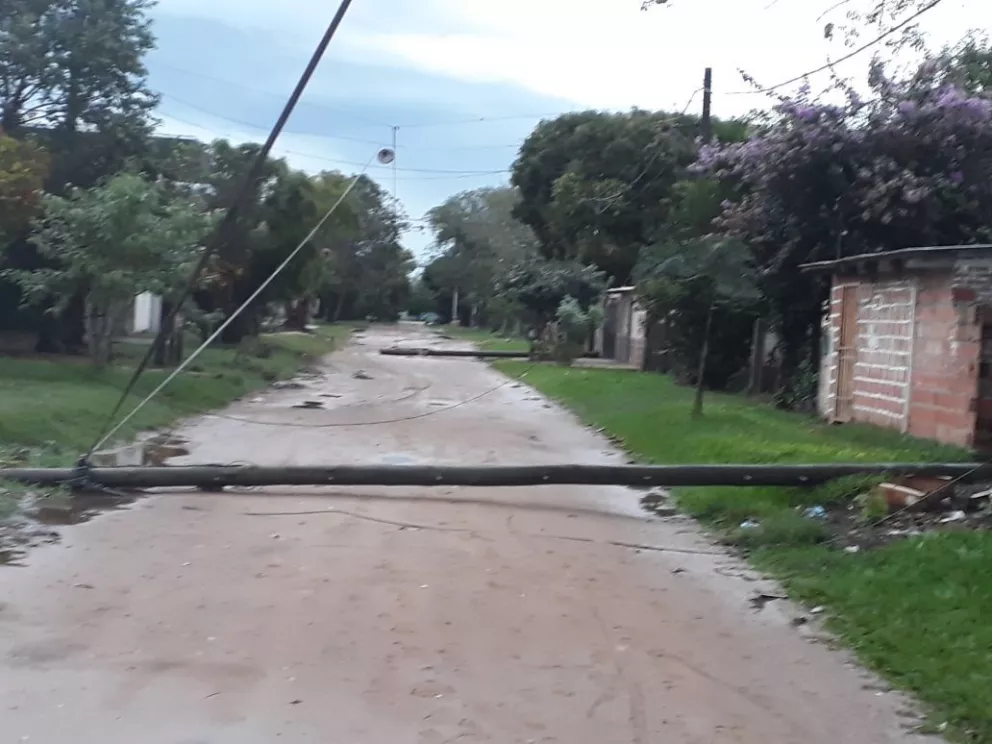 Temporal en Ituzaingó dejó postes y árboles caídos 