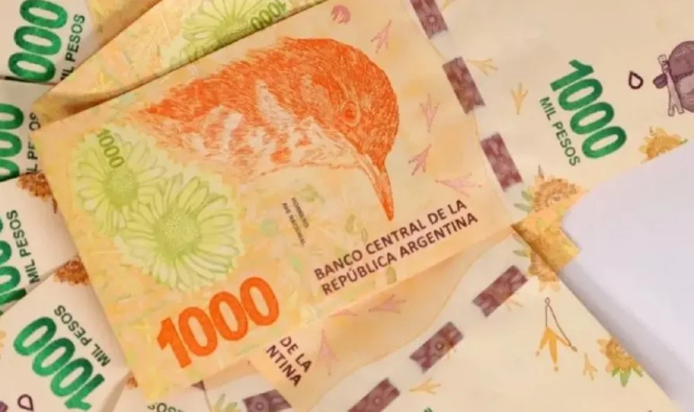 Préstamos de Anses: cómo solicitar un turno para obtener hasta $240.000