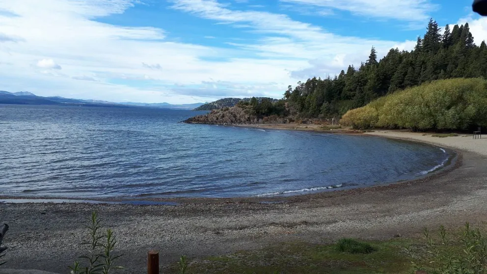 Esta tarde se realizará una jornada artística por la Ley de Humedales