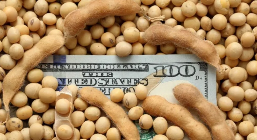 Massa anunció un dólar para exportaciones de granos: cuál es el valor