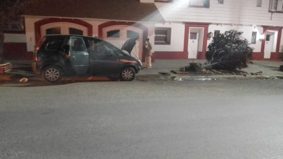 Conducía alcoholizado y chocó contra un árbol 