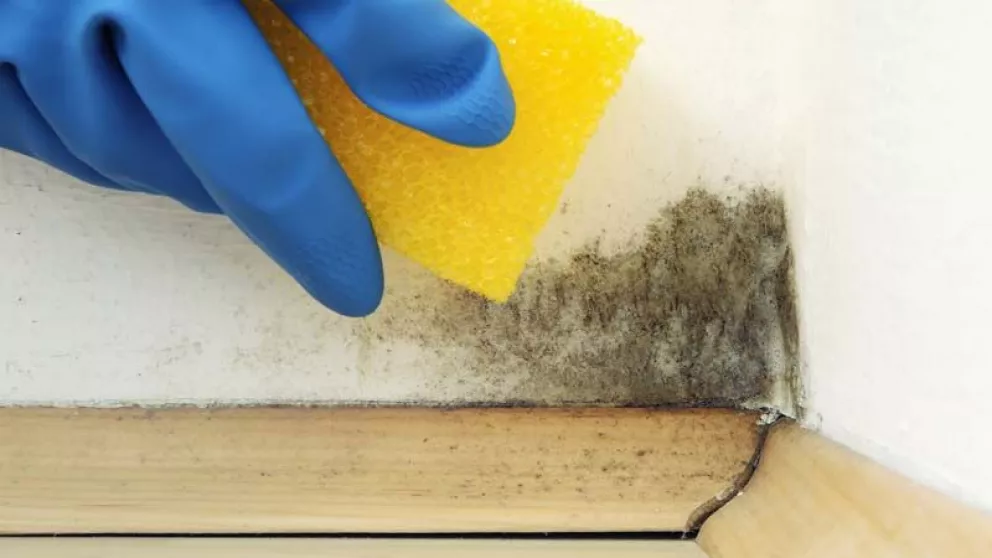 Cómo quitar la humedad de las paredes con bicarbonato de sodio