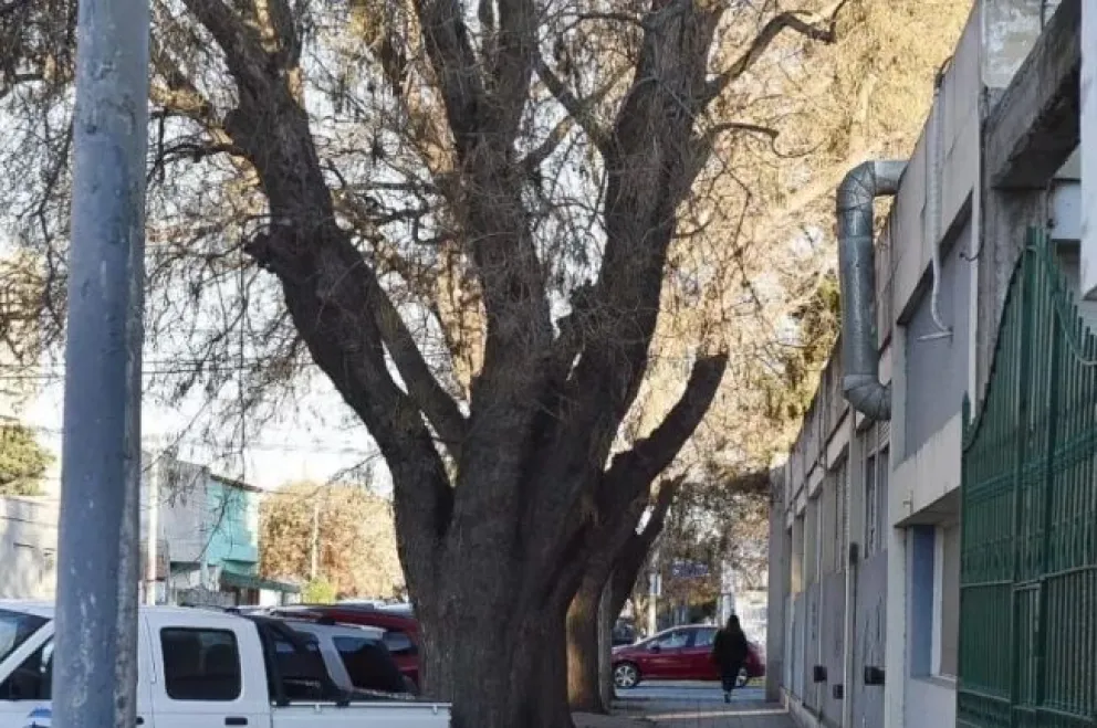 Prometen la instalación de cámaras de seguridad en el barrio Mitre