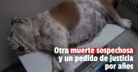Una familia sanjuanina llegó hasta la Justicia por la muerte de su mascota