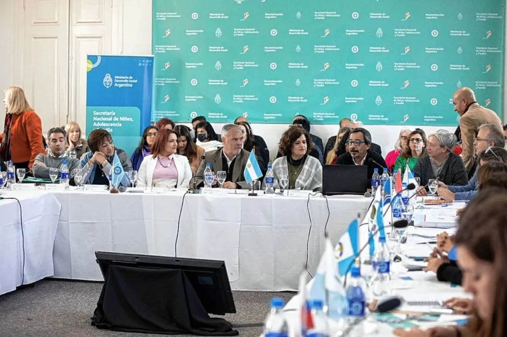 Chubut participó de una nueva Sesión del Consejo Federal de Niñez, Adolescencia y Familia