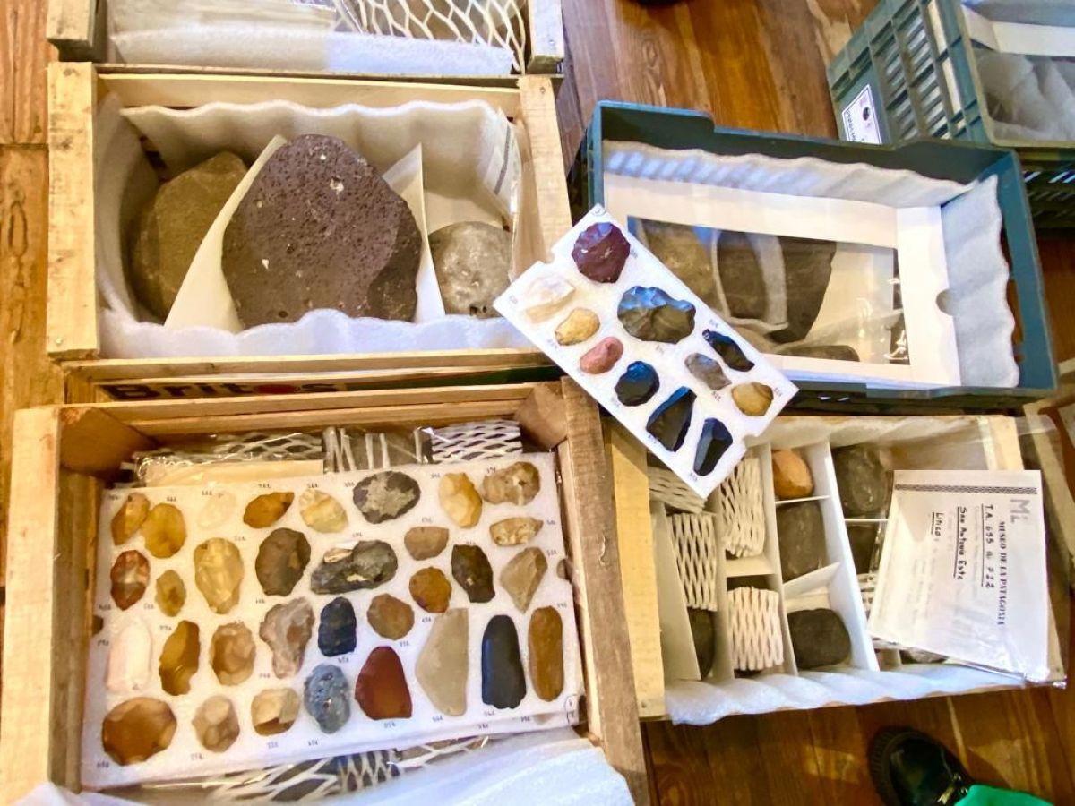 Colección arqueológica del Museo de la Patagonia aporta información a investigación científica