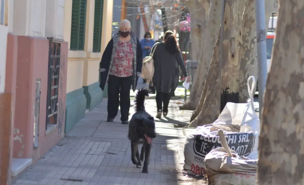 Como la caca de las mascotas es un problema público impulsan el uso de caniles en las plazas