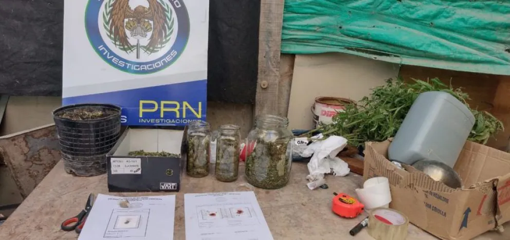 Tras dos allanamientos, la Policía secuestró marihuana y un arma de fuego 